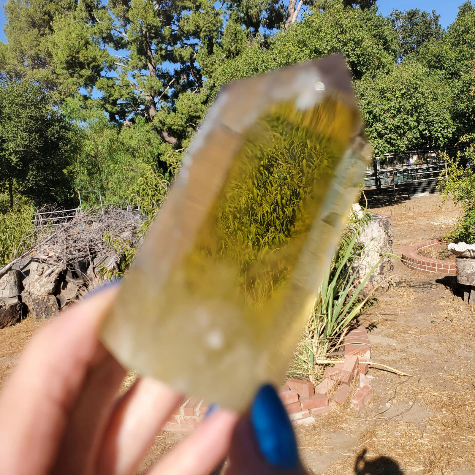 Citrine Clear Yellow Gold Phantom Flash Point Tower Crystal 188 grams