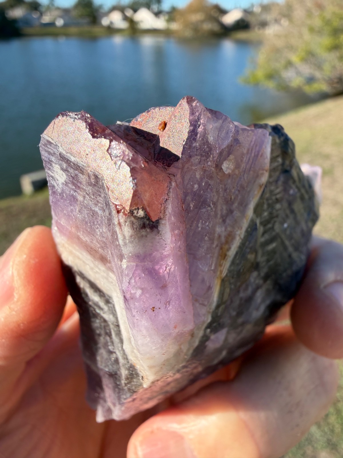 Auralite 23 Crystal Chunk from Canada 215 grams 4″