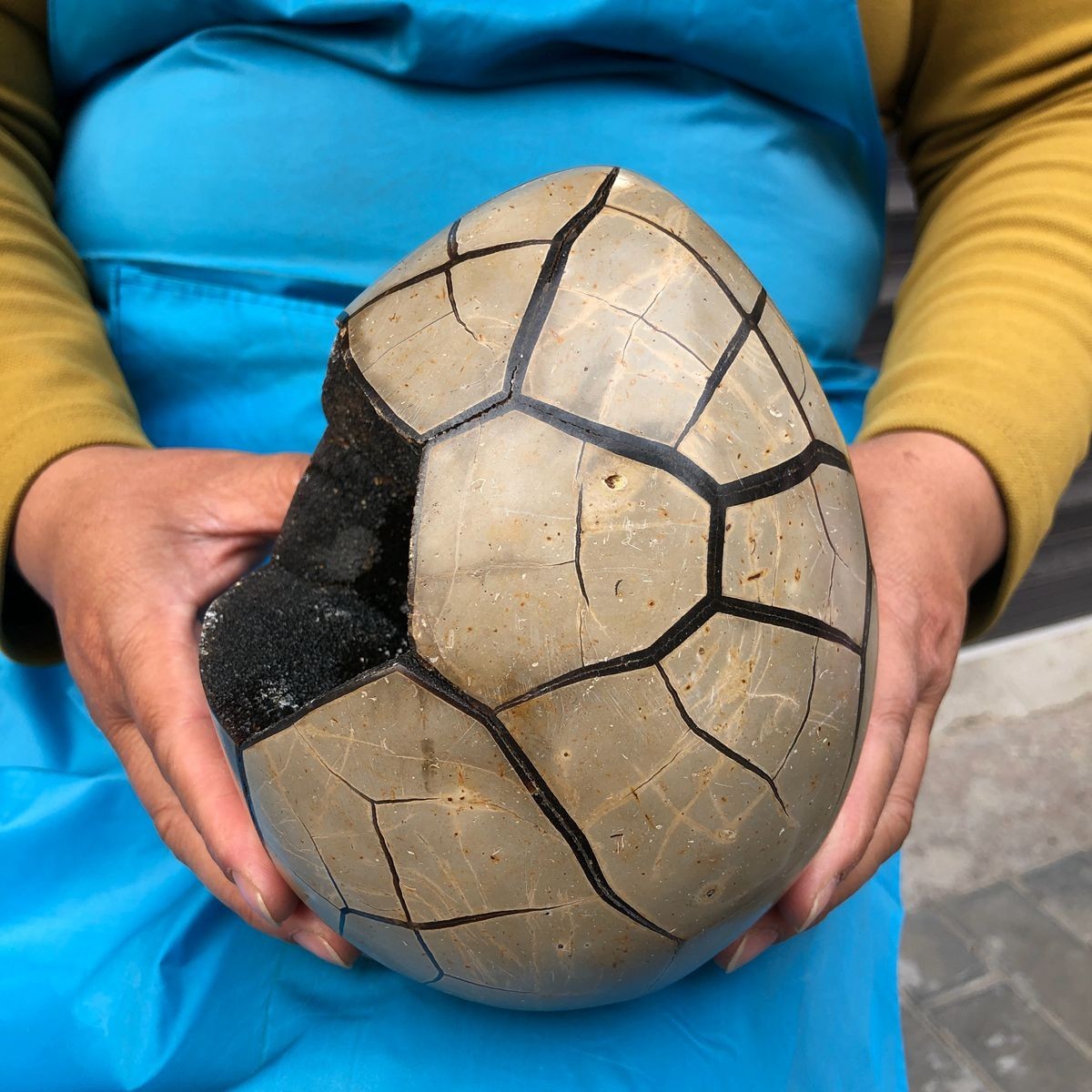 7.23 LB Natural Septarian Turtle Shell Geode Dragon Egg Crystal Healing 4351