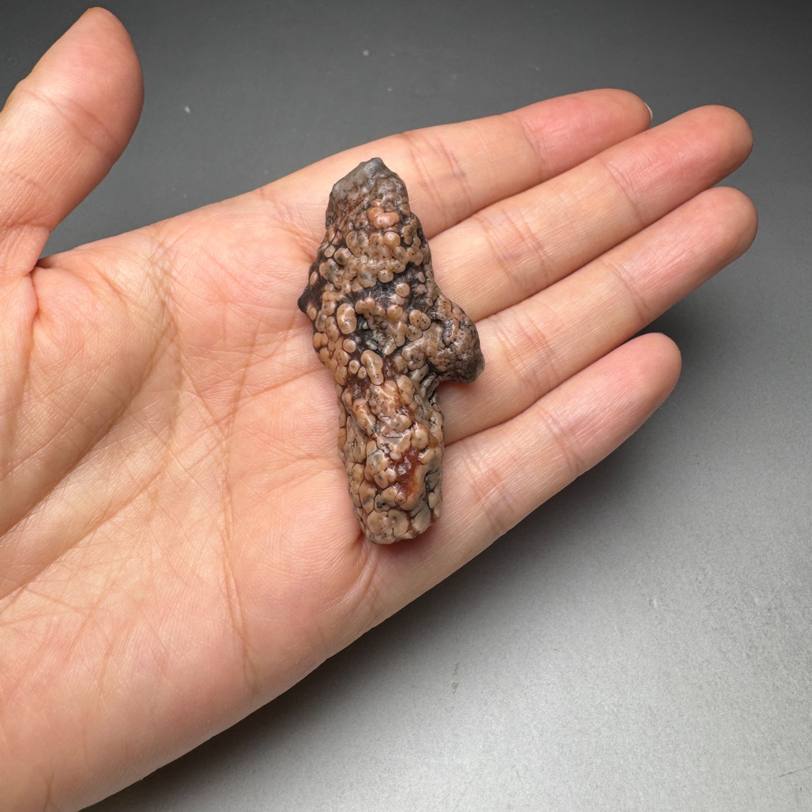 5.6cm/25G Raw & Natural Alxa Gobi Raised Fish Roe Vein Agate,Inner Mongolia#6556