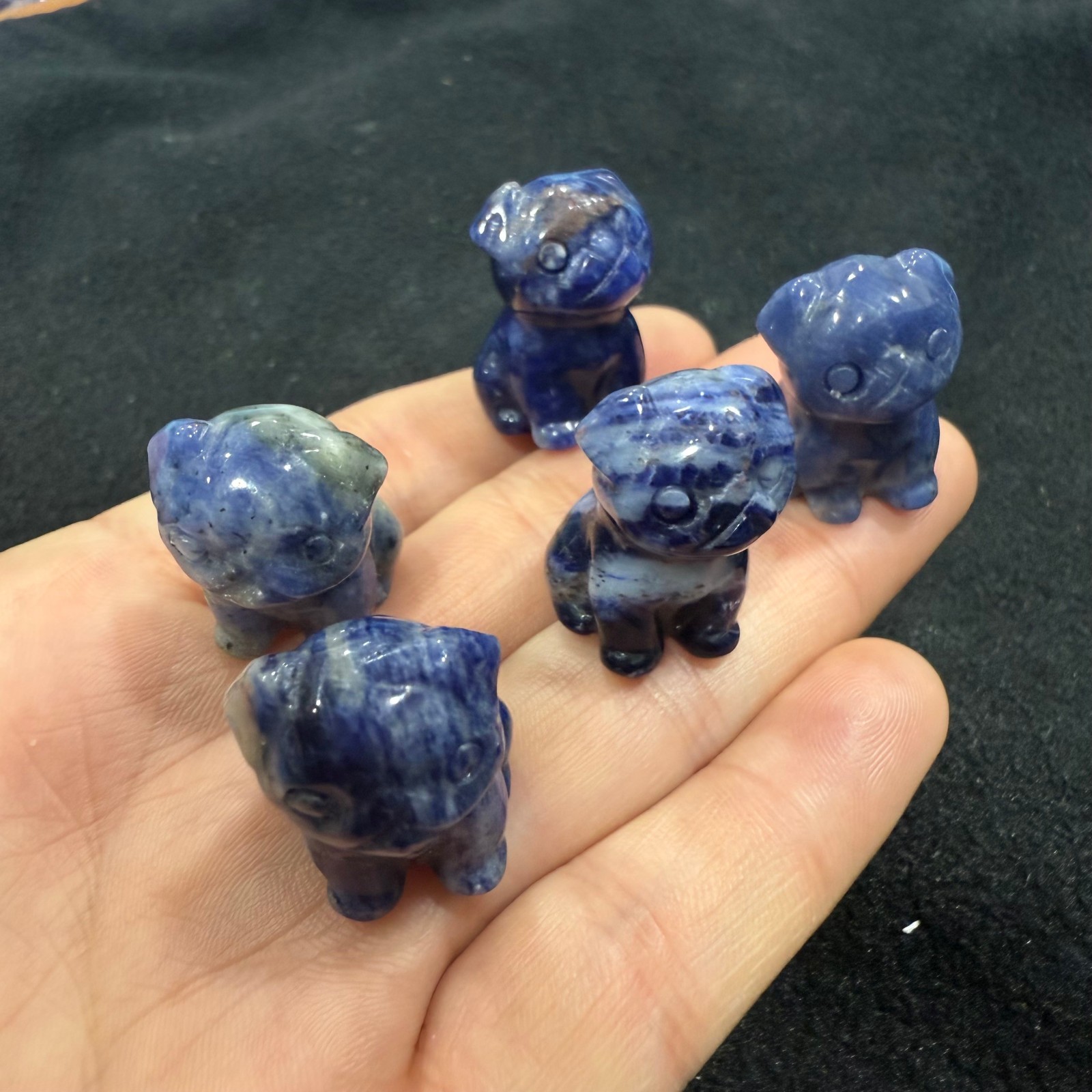 5pc Natural blue grain stone quartz Carved Crystal Pug Reiki healing