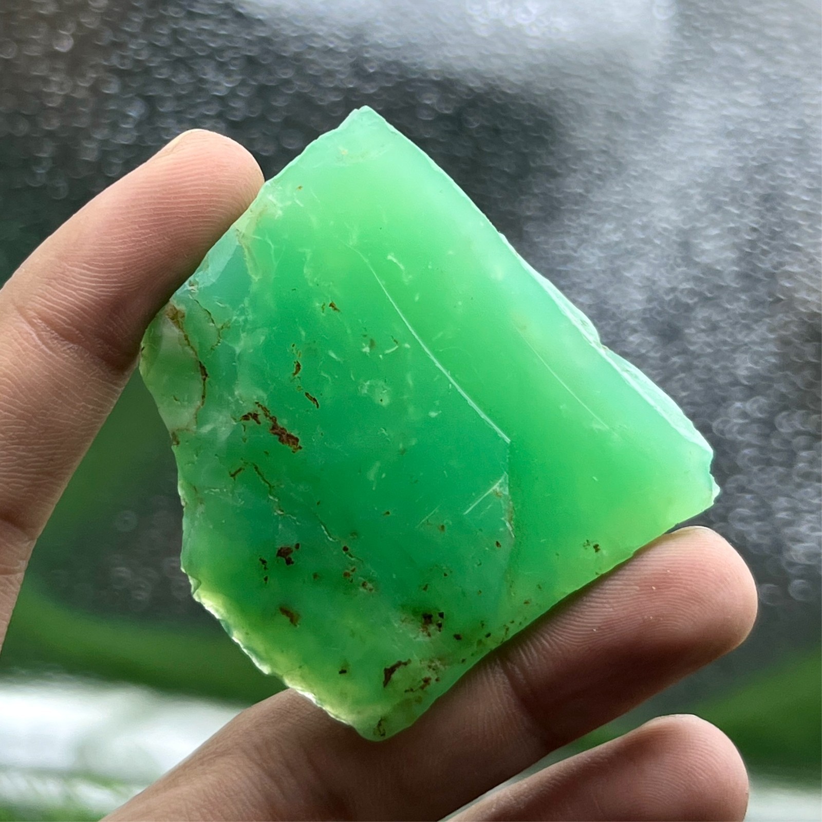 Rare Green Chrysoprase Rough Stone 246Ct Natural Gem Specimen Slice
