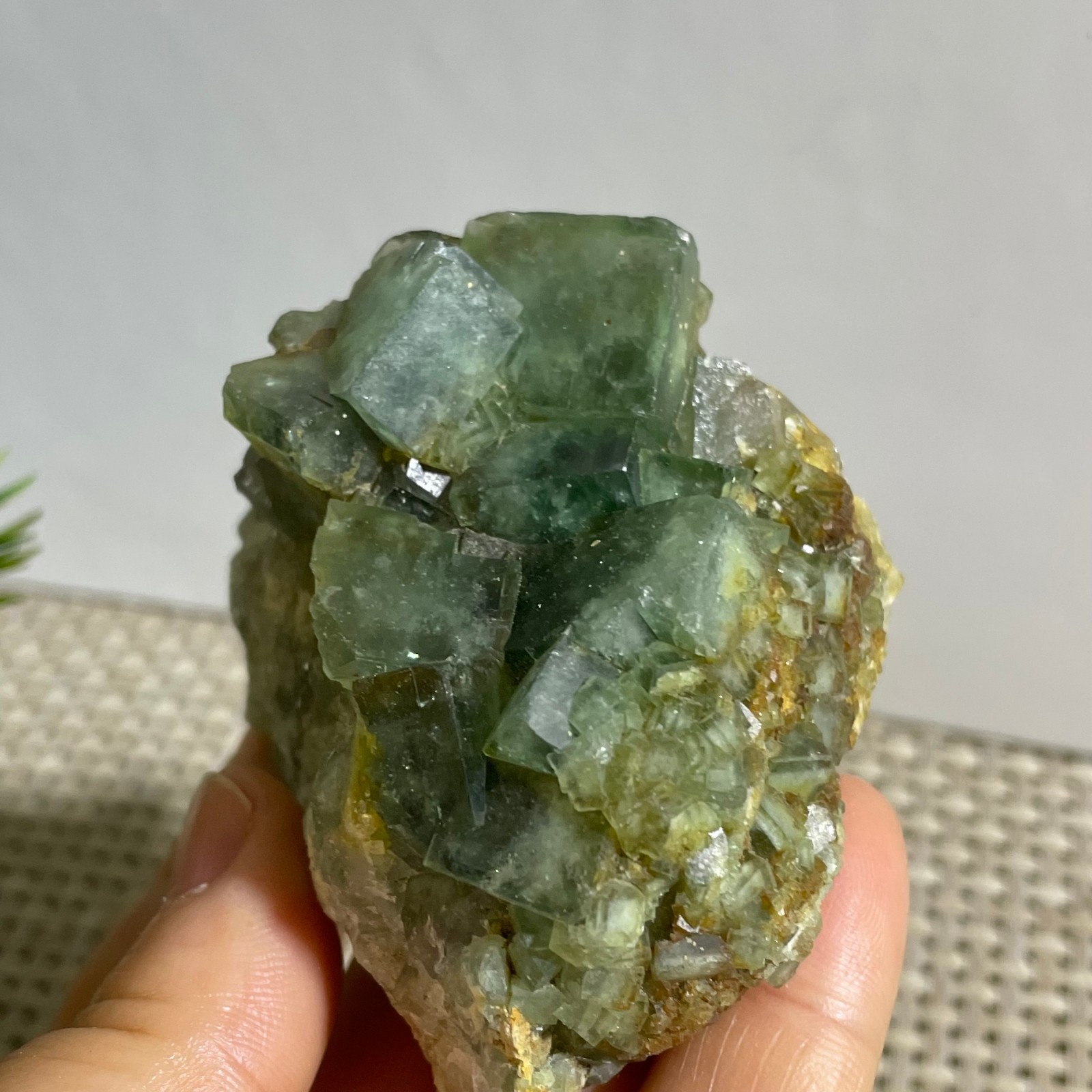 206g NATURAL Green FLUORITE Quartz Crystal Cluster Mineral Specimen