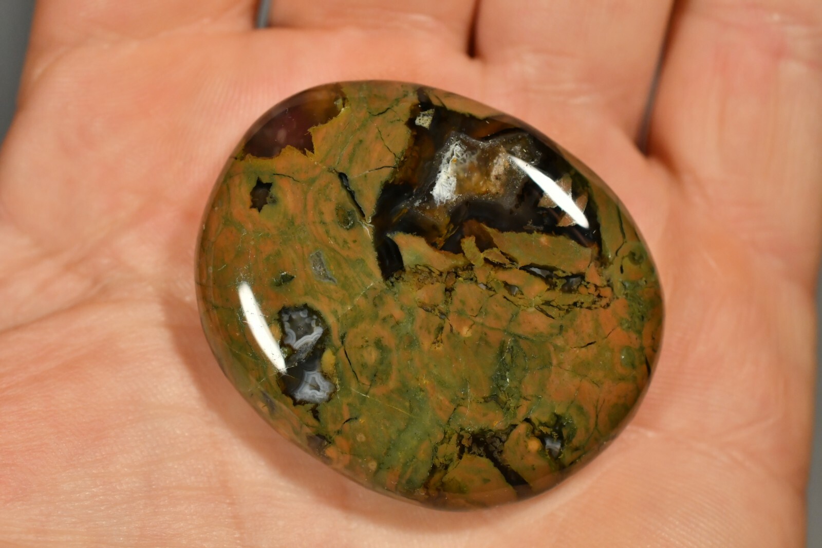 RHYOLITE Palm Stone 4.3cm 30g Flat Rainforest Jasper Healing Change Progress