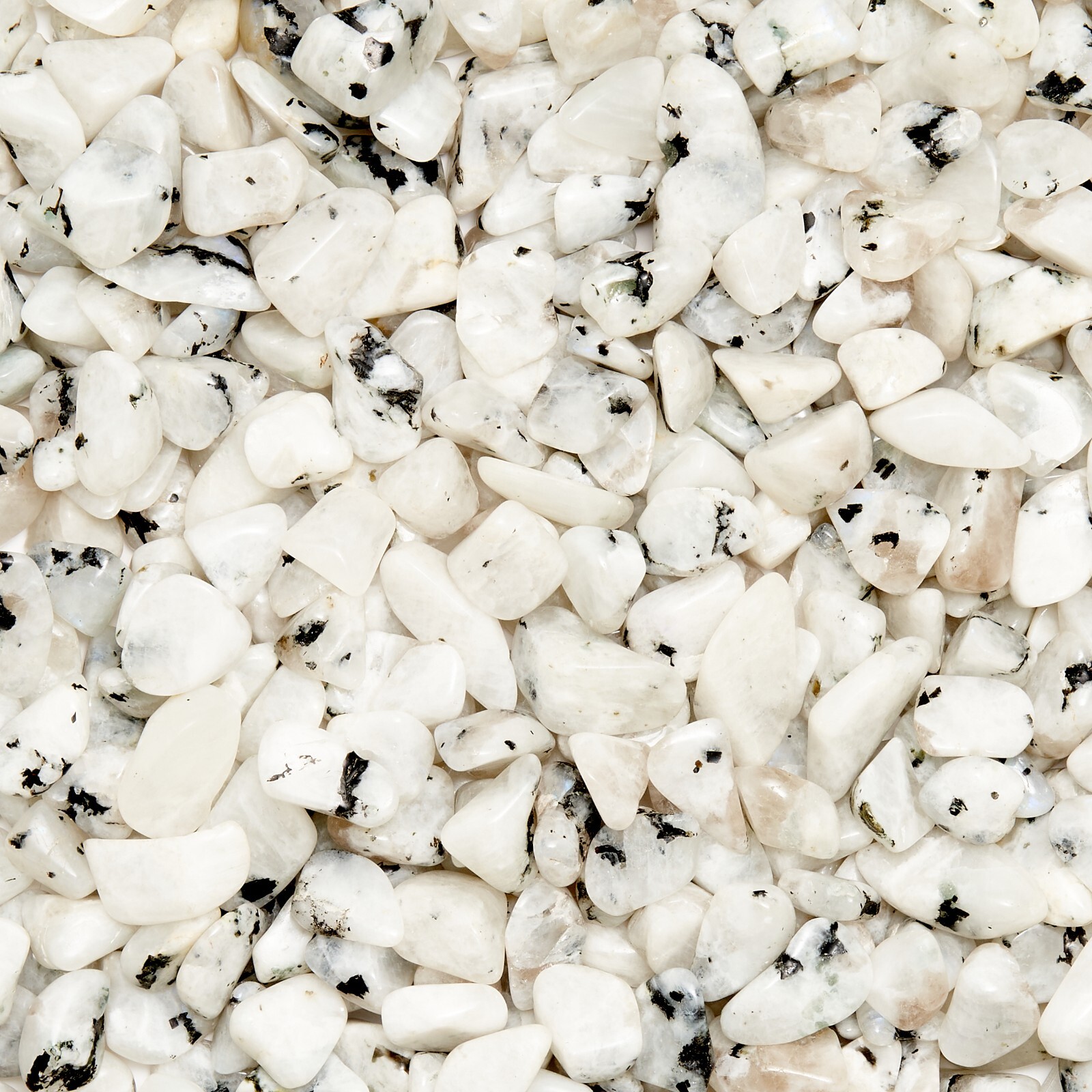 3/4 lb Tumbled Rainbow Moonstone Gemstone Small Crystals Bulk Stones Gems Rocks