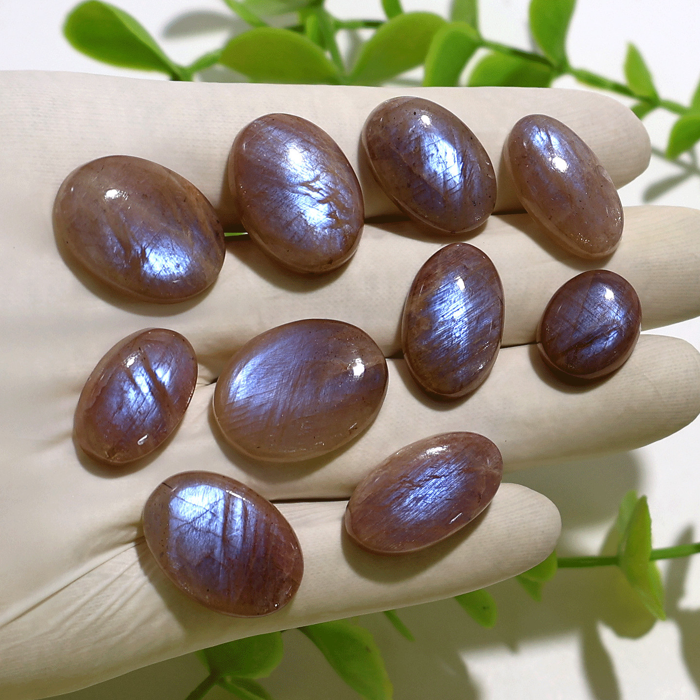 Divine Balance~ 10 PC Rare Moonstone In Sunstone Dual Flash Oval Gem Crystal Set