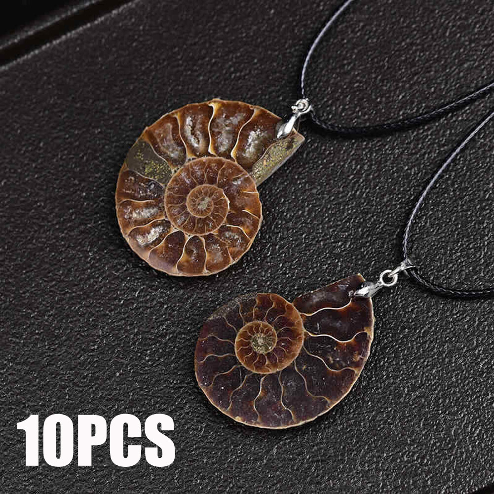 10PCS Wholesale Natural Chakra Quartz Crystal Conch Fossil Mineral Rock Pendant