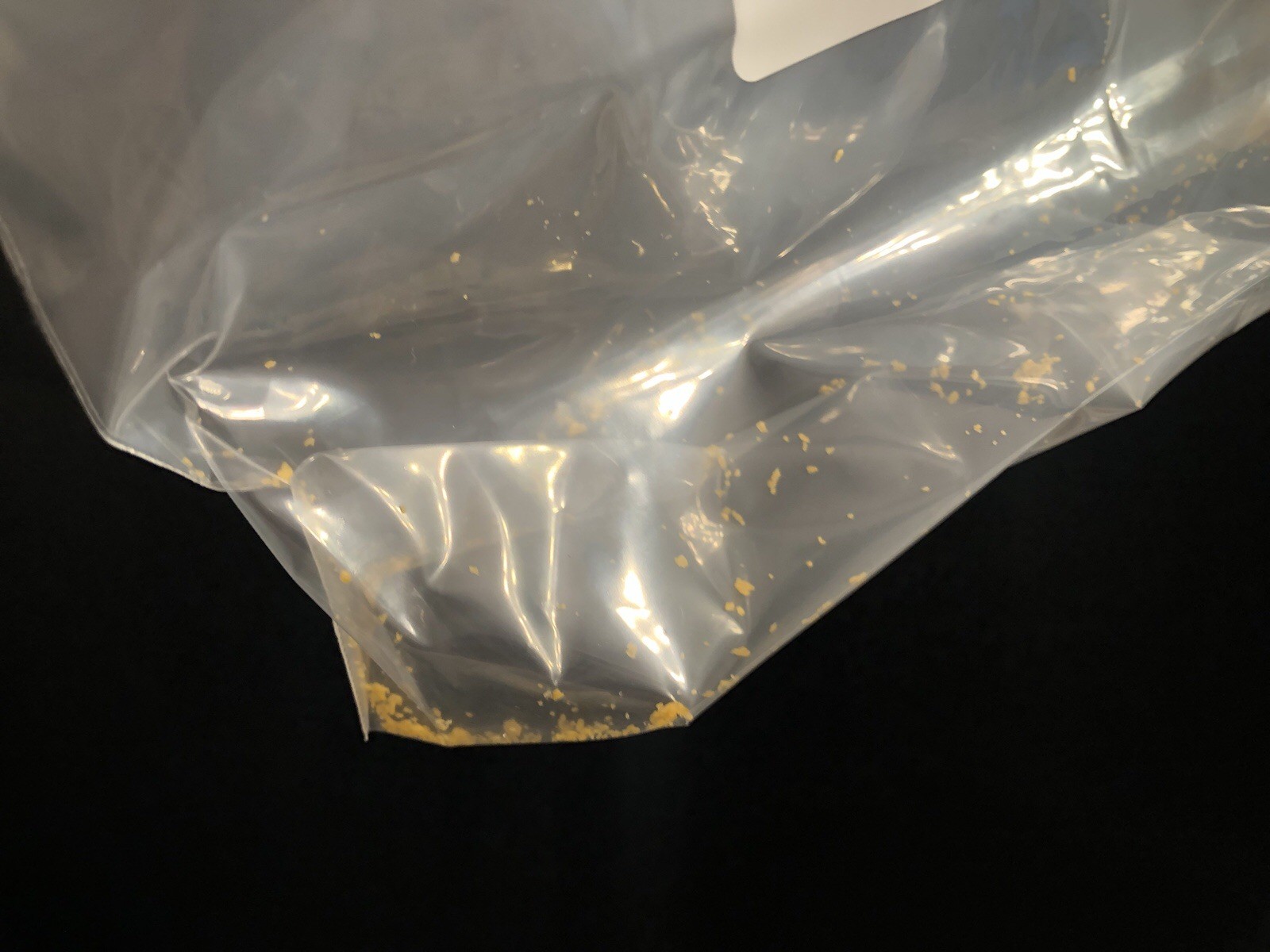Goldfish Shards
