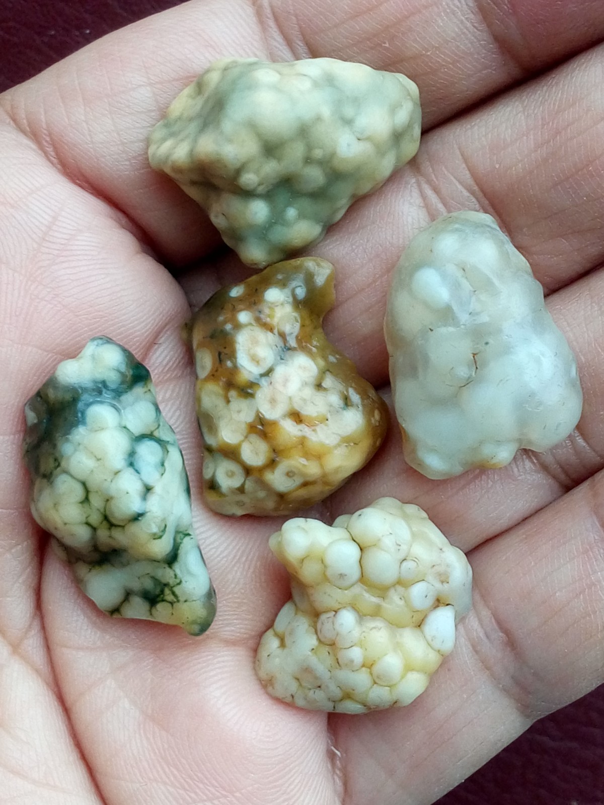 5 pieces Beautiful Natural GoBi agate collection