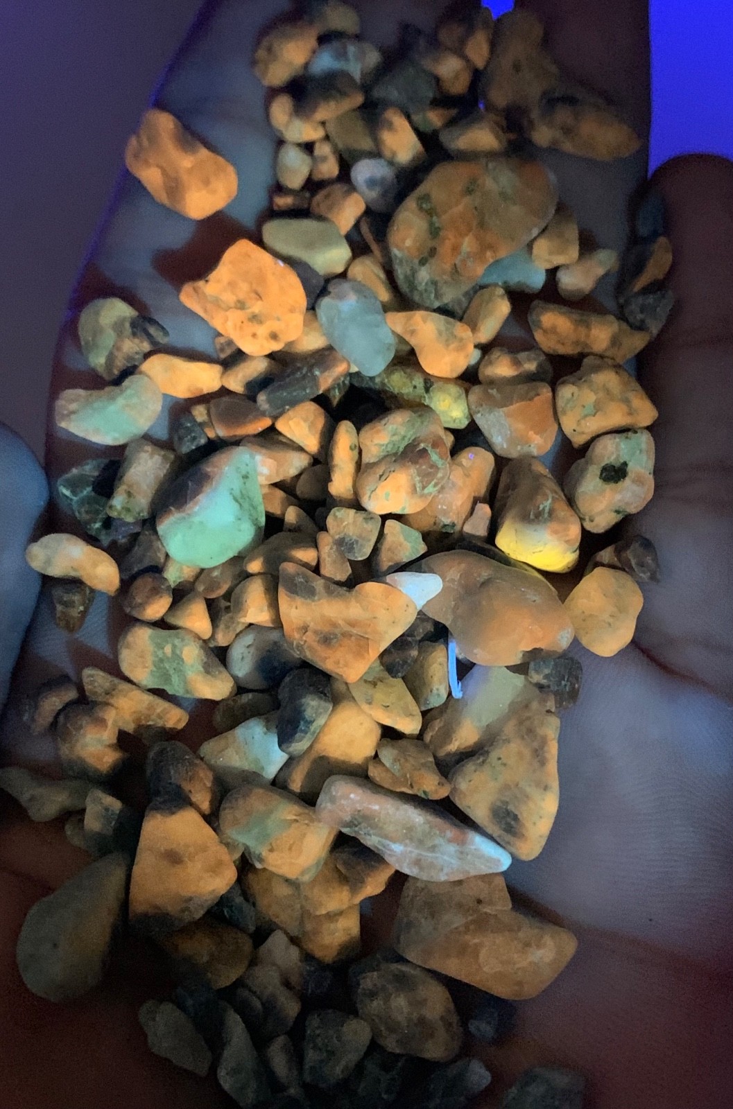 250 Carats Fluorescent Hackmanite Rough lot Afghanistan
