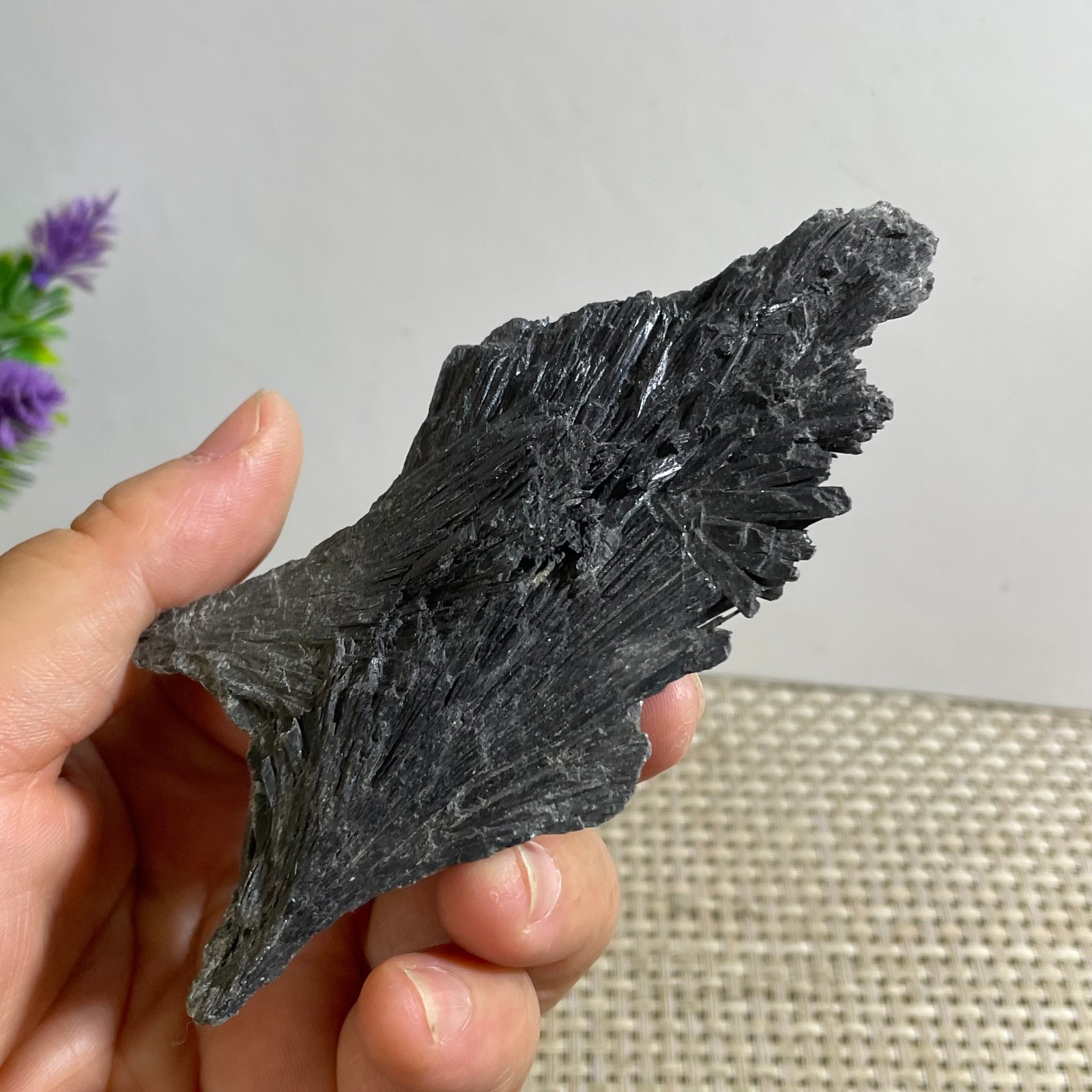 61g Black Kyanite Blades Fans Premium Quality Mineral Specimen rough