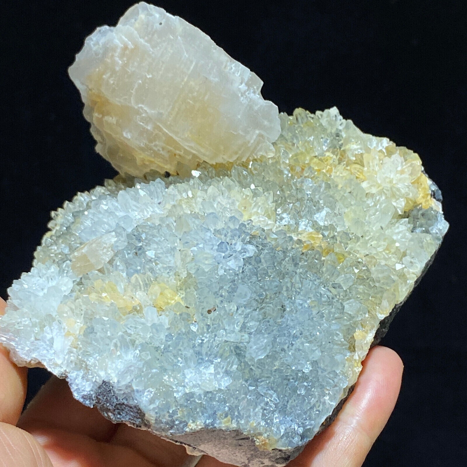 465g Natural Shell Calcite & White Quartz Crystal Mineral Specimen