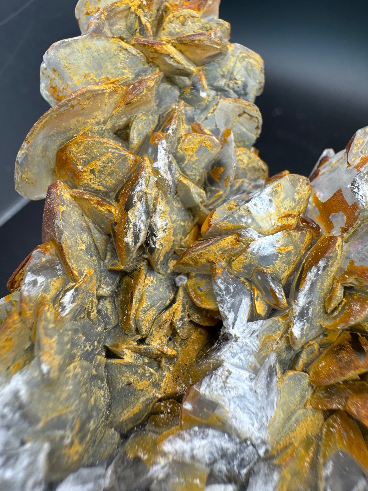 6642 Double Sided Shell Calcite Formation Fu Jian 175g