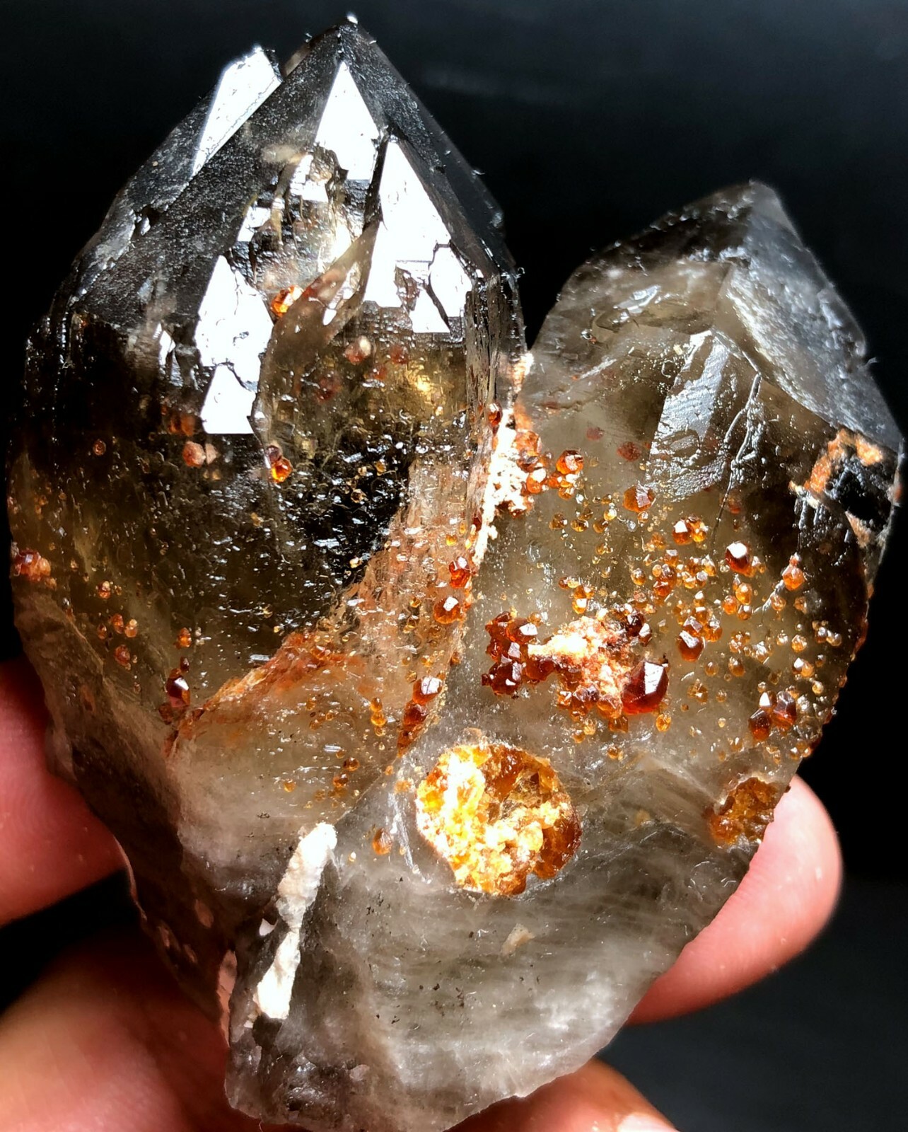 144g Brand new Rare Black SMOKY QUARTZ Crystal Point &Garnet Spessartine f193
