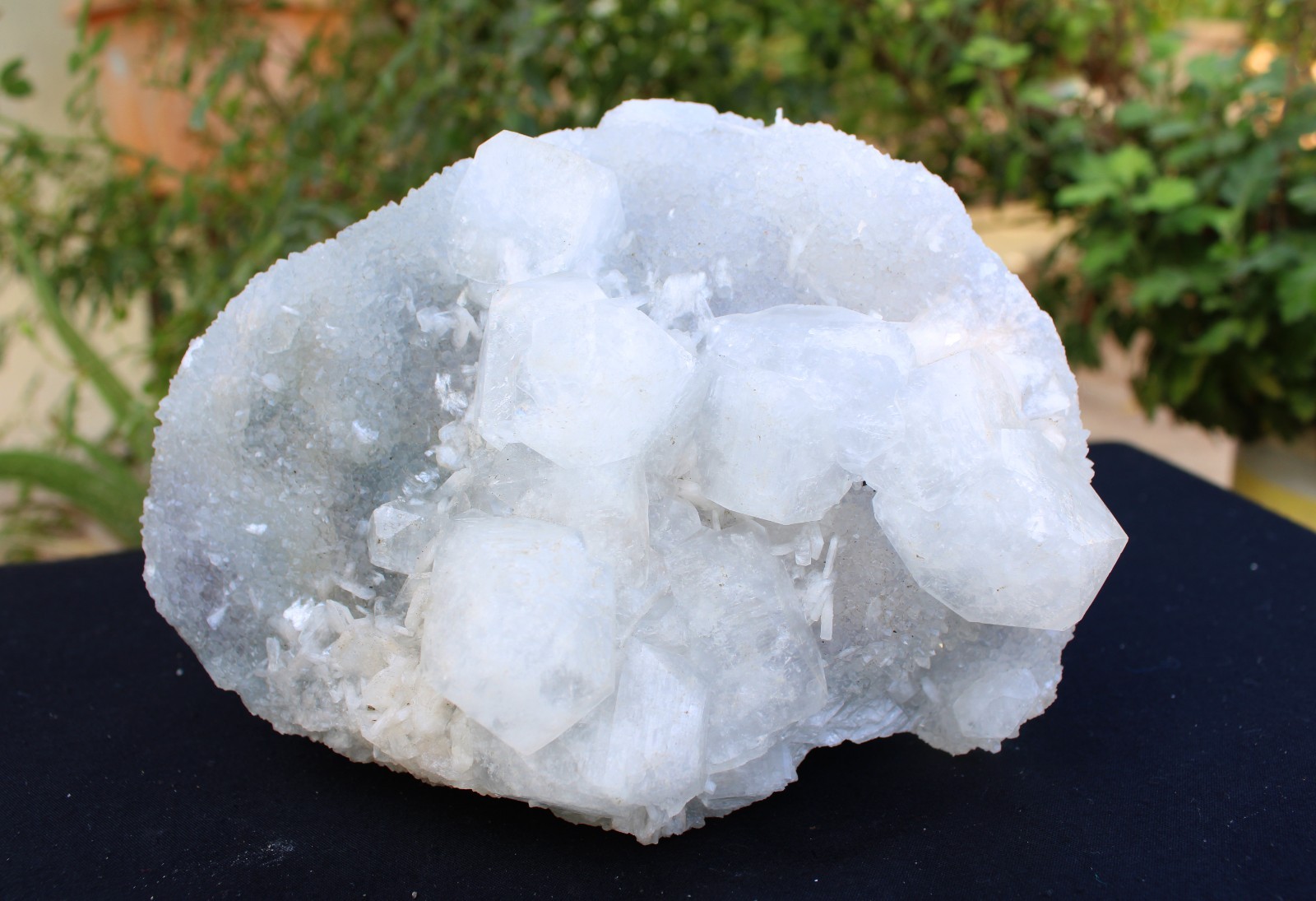 APOPHYLLITE CRYSTAL ON CHALCEDONY CORAL MATRIX MINERALS SPECIMEN #A34