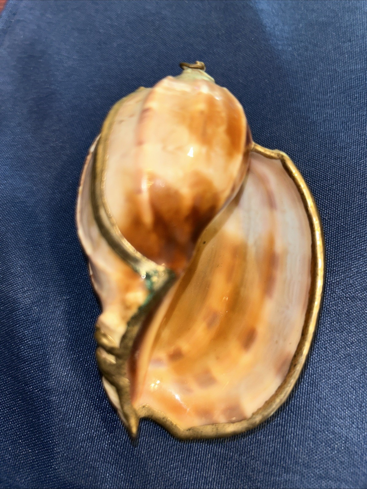 Vintage Extra LARGE Gold trimmed Shell. Pendant? See Pictures Beach House Decor