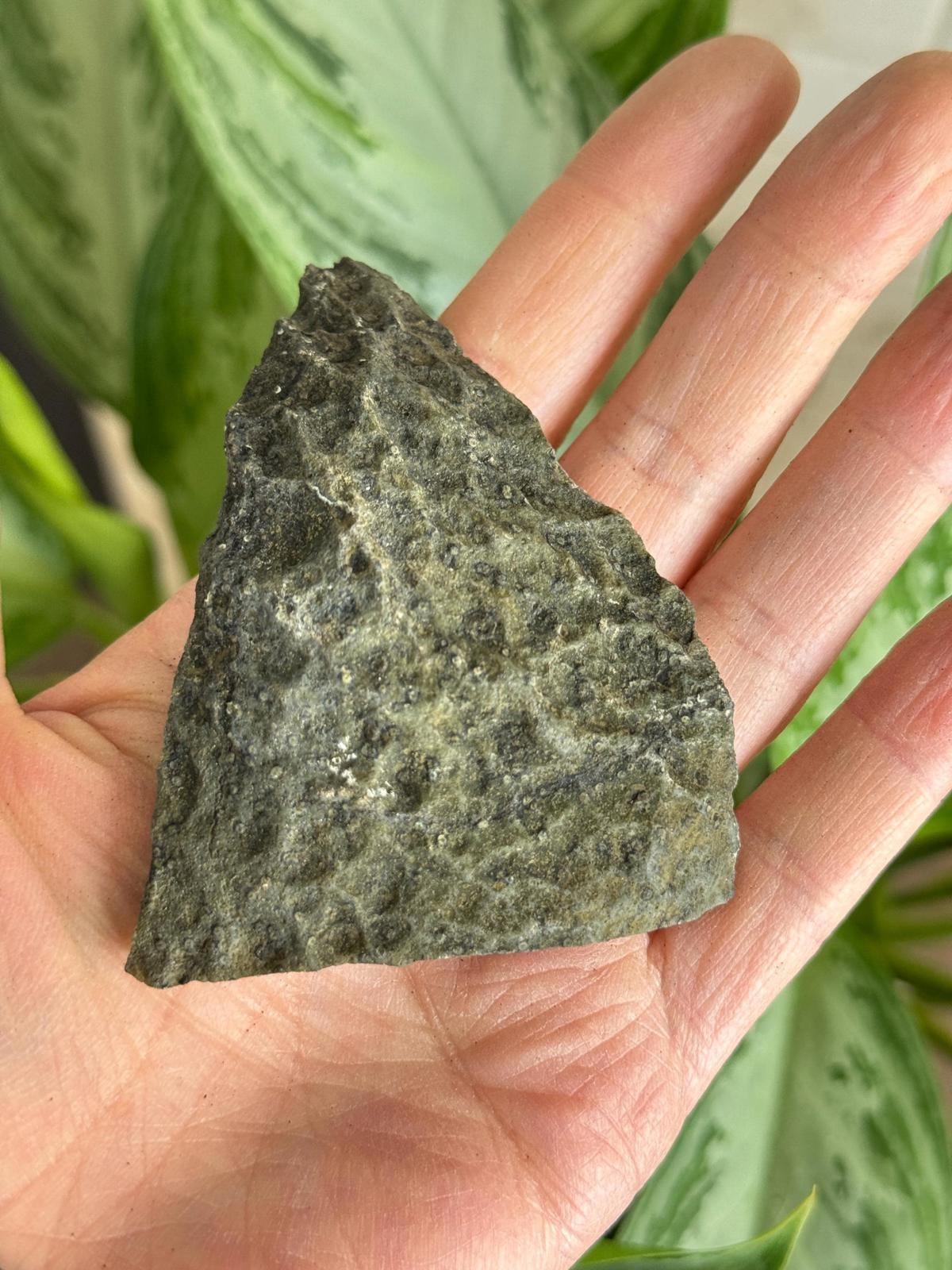 Quartz Crystal Cluster Flower Raw Druzy Black Galaxy Chalcedony Geode A411