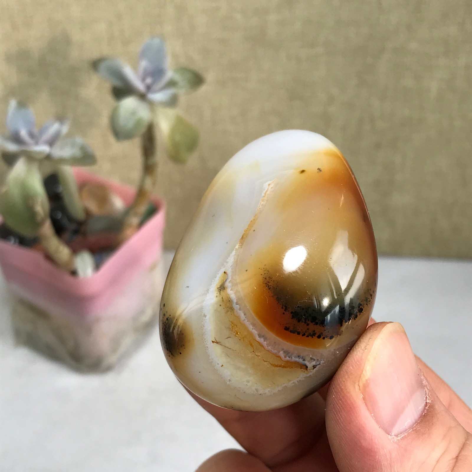 54-38-27mm Natural aquatic plants agate pretty Crystal specimens 79g A2379
