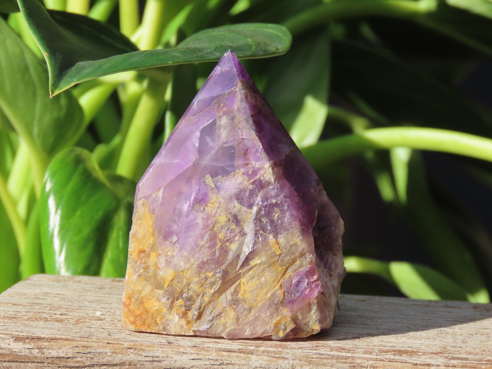 Rough & Polished Amethyst Crystal Generator Point 165 Grams