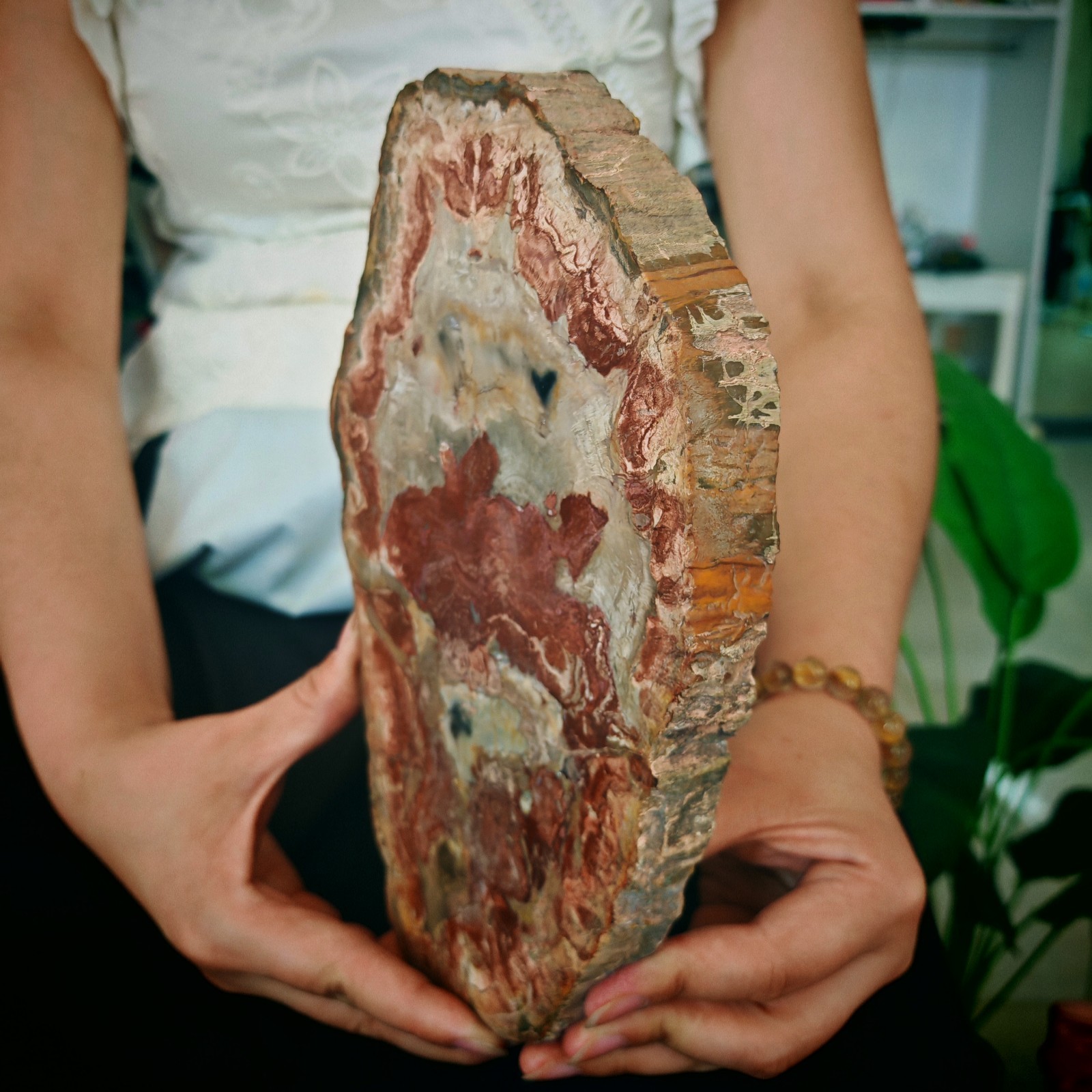 3.19LB Natural Jurassic and Cretaceous wood fossil crystal slice specimen 1.45kg