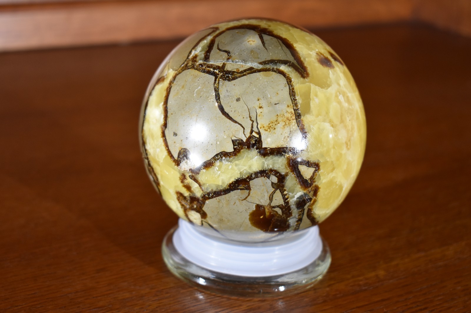 Large Dragon Septarian Sphere 2242 grams 116 mm