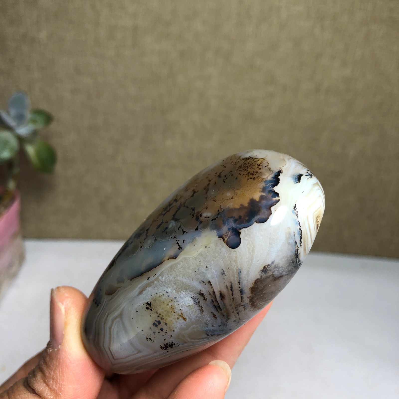 73mm Natural aquatic plants agate pretty Crystal specimens 123g A1953