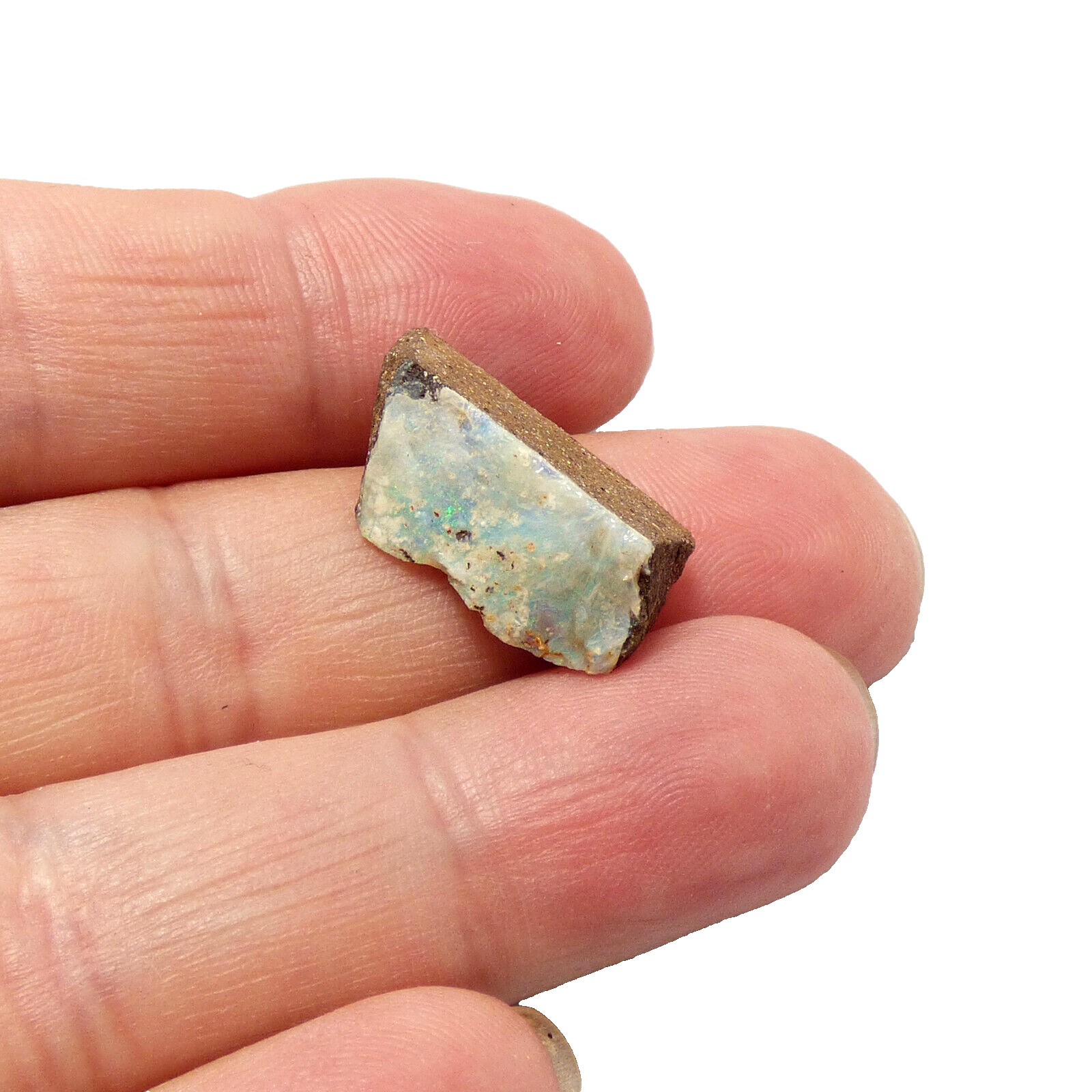 Boulder Opal with Green Blue Fire Queensland Australia Unpolished 12ct 20mm