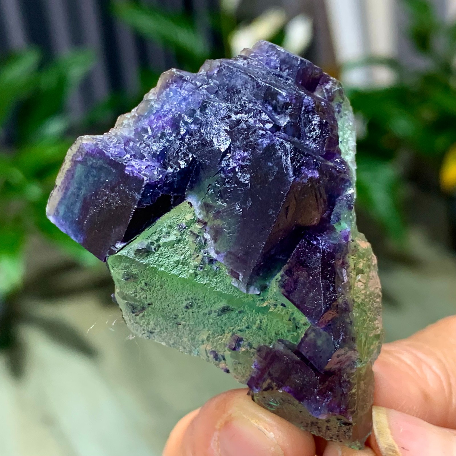 50G Rare transparent green purple cubic Zhejiang fluorite mineral sample