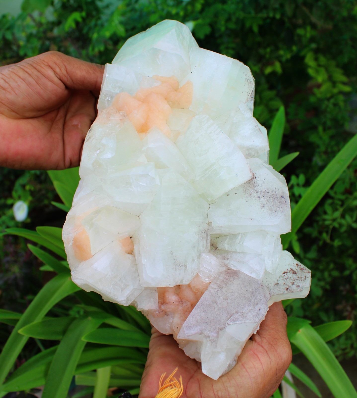 GREEN APOPHYLLITE CRYSTALS WITH STILBITE ON MATRIX MINERALS SPECIMEN #A60