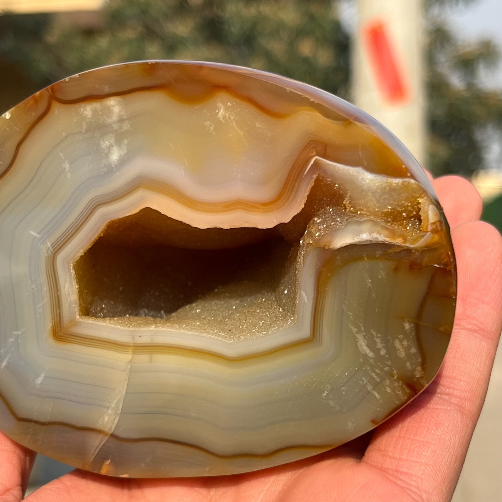 731g Rare Natural Carnelian Geode Agate Quartz Crystal Mineral Healing