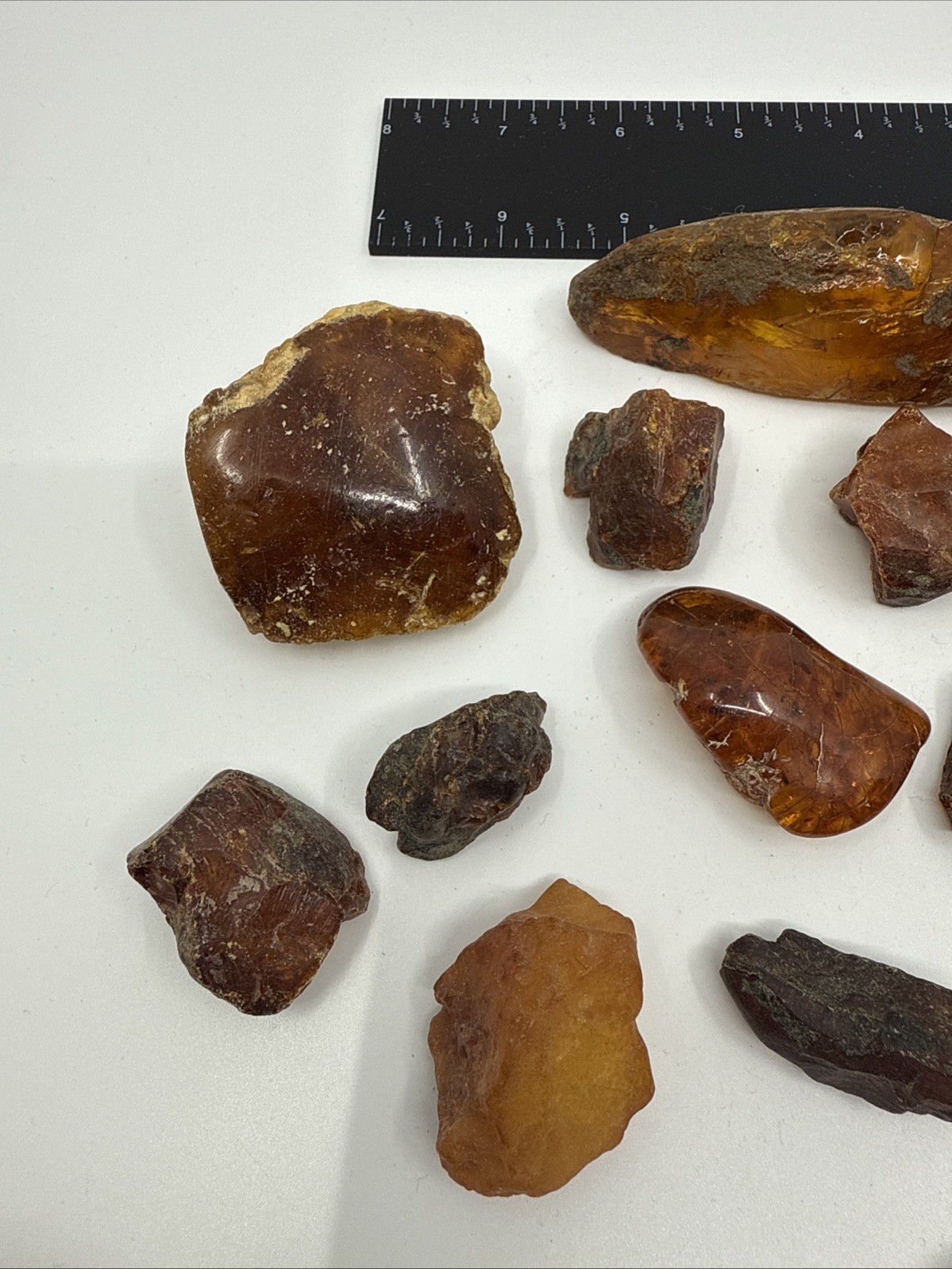 Huge Lot Of Piece Solid Amber Specimen Rough & Polished Raw Natural 214 Grams