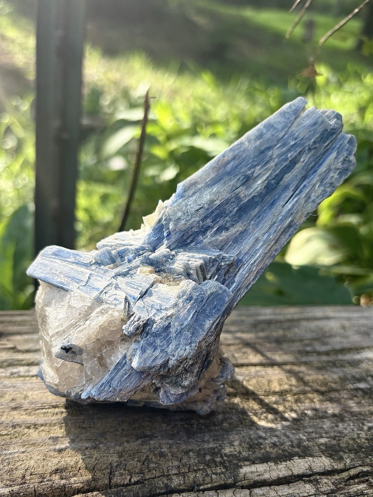 Large Natural Blue Kyanite In Quartz- 5” Bright Blue Kyanite Quartz Specimen
