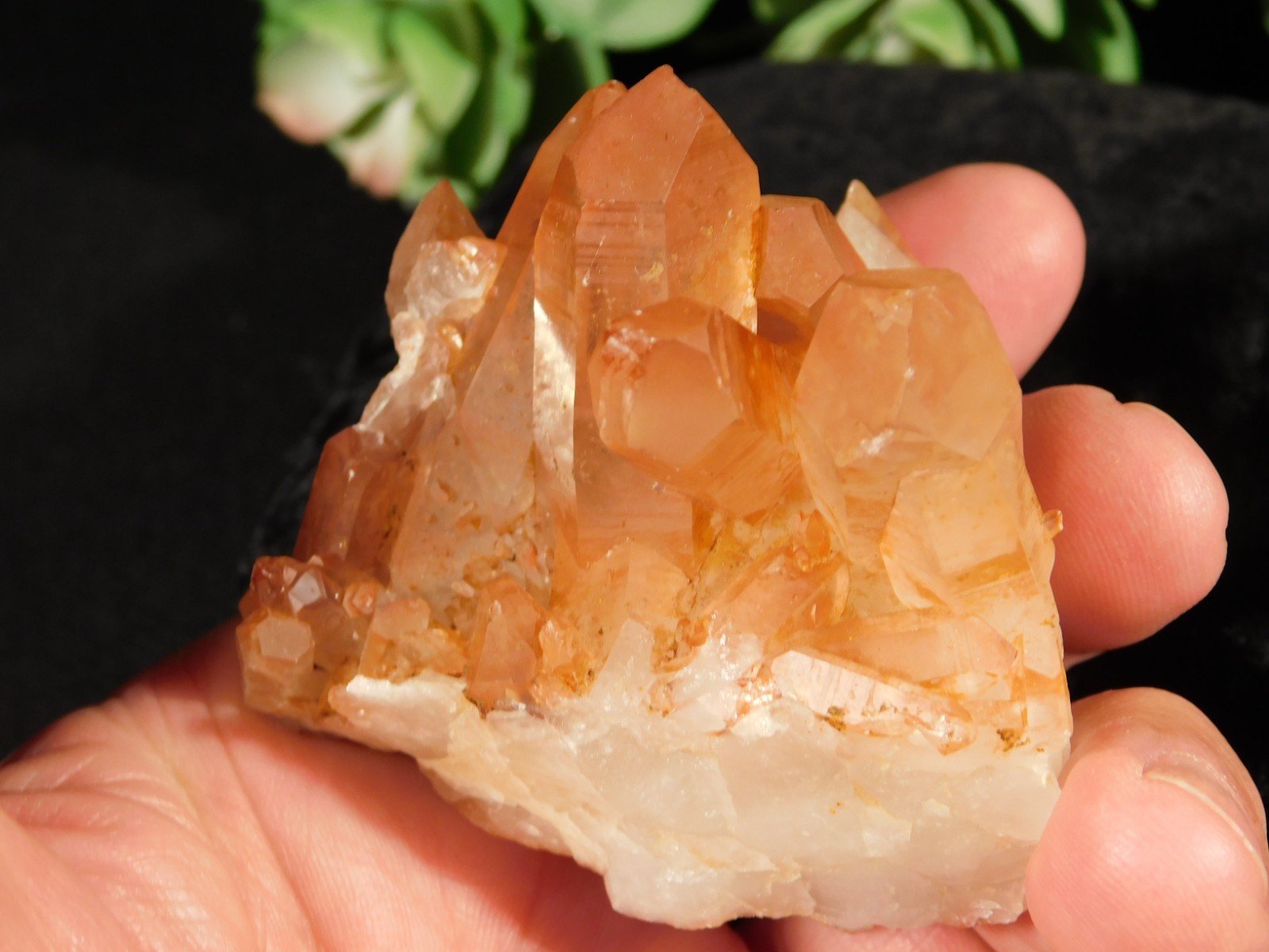 GOLDEN Healer Quartz Crystal Cluster 100% Natural Brazil 149gr