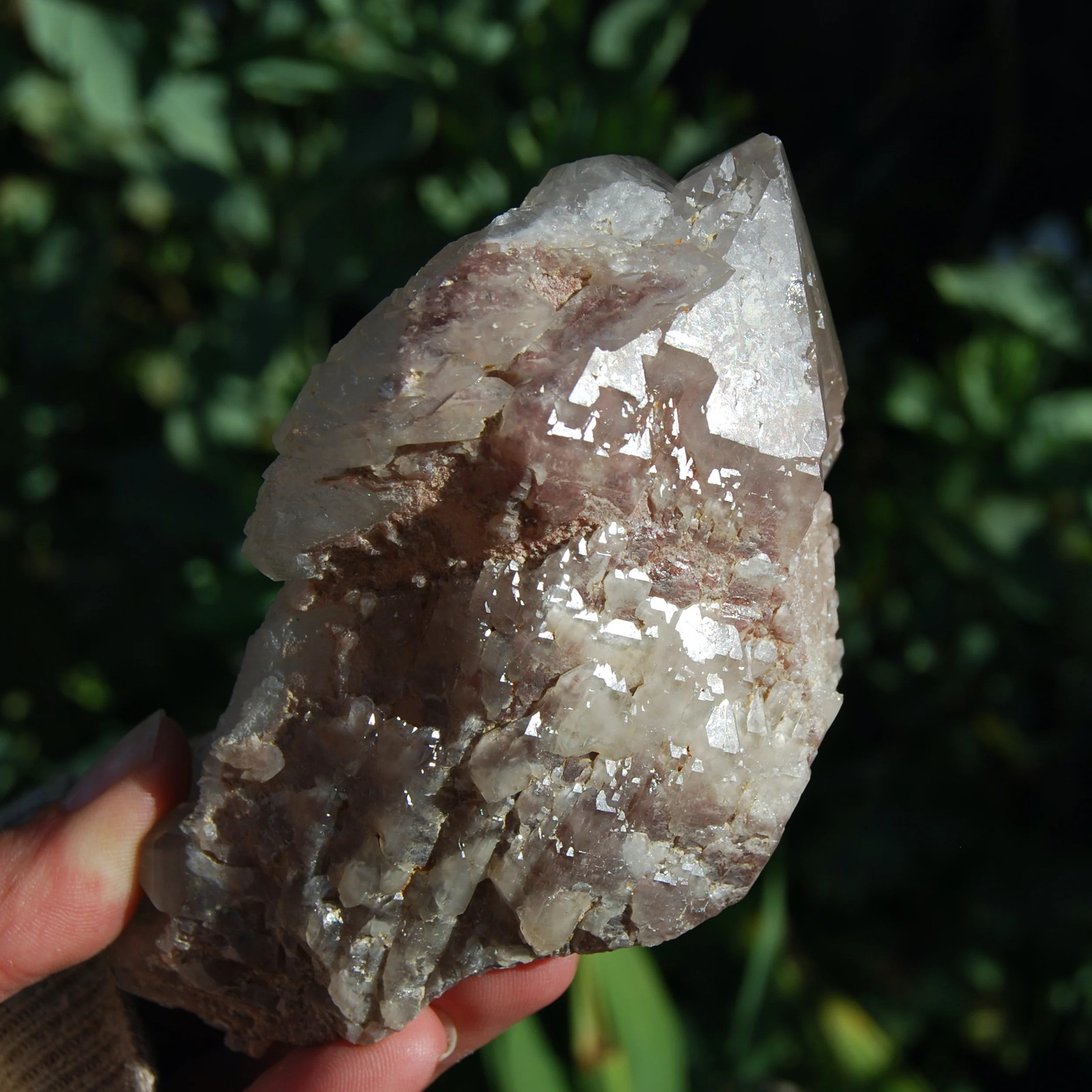 5in 1lb XL ET Hematoid Quartz Crystal Cathedral Point, Record Keepers, Raw Red H