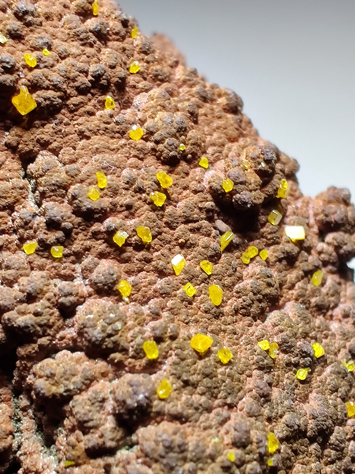 Wulfenite crystals on matrix, Beautiful piece. Whim Creek, Australia. 53 grams.
