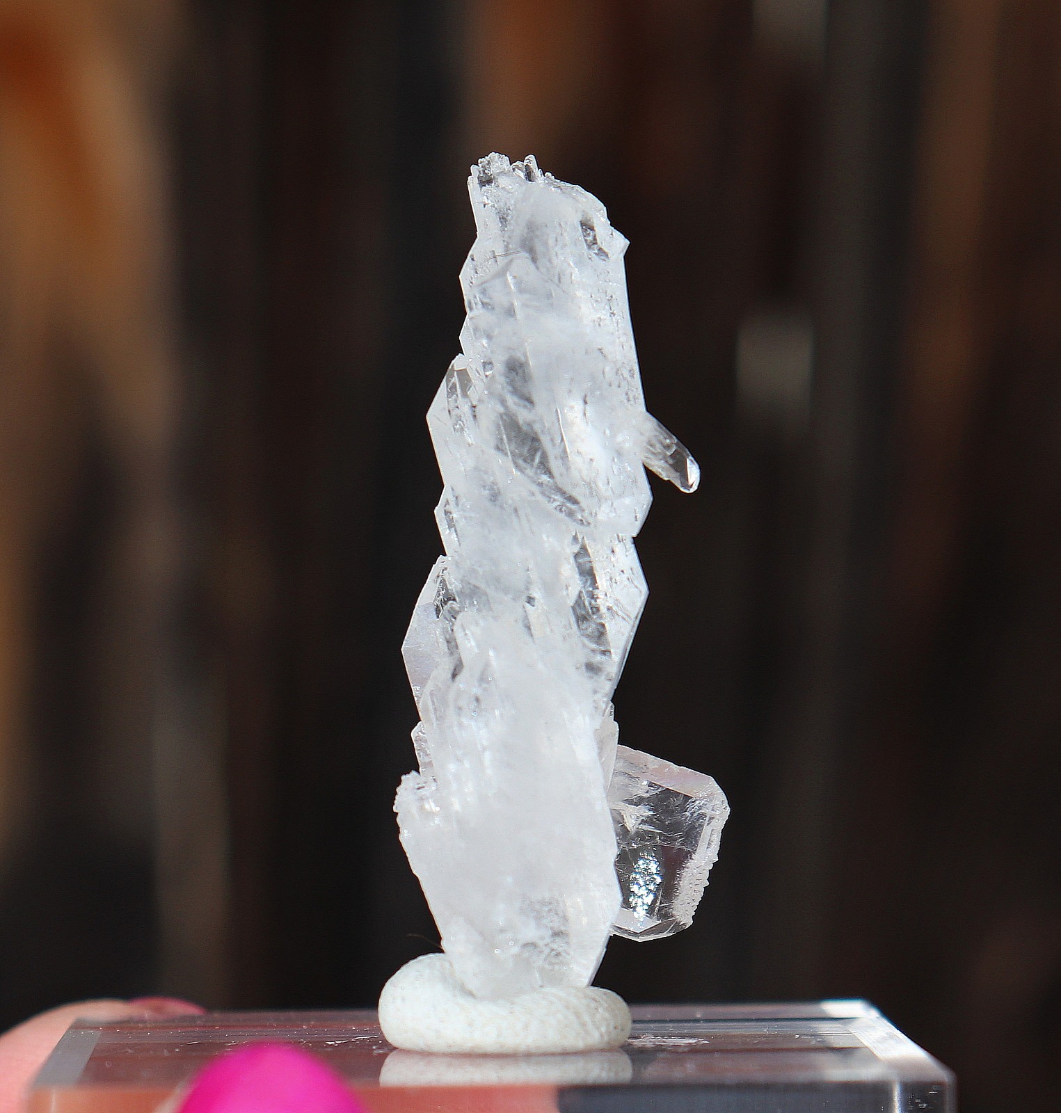Faden Quartz Crystal Long And Slender Cluster From Pakistan 5.1 Centimeters
