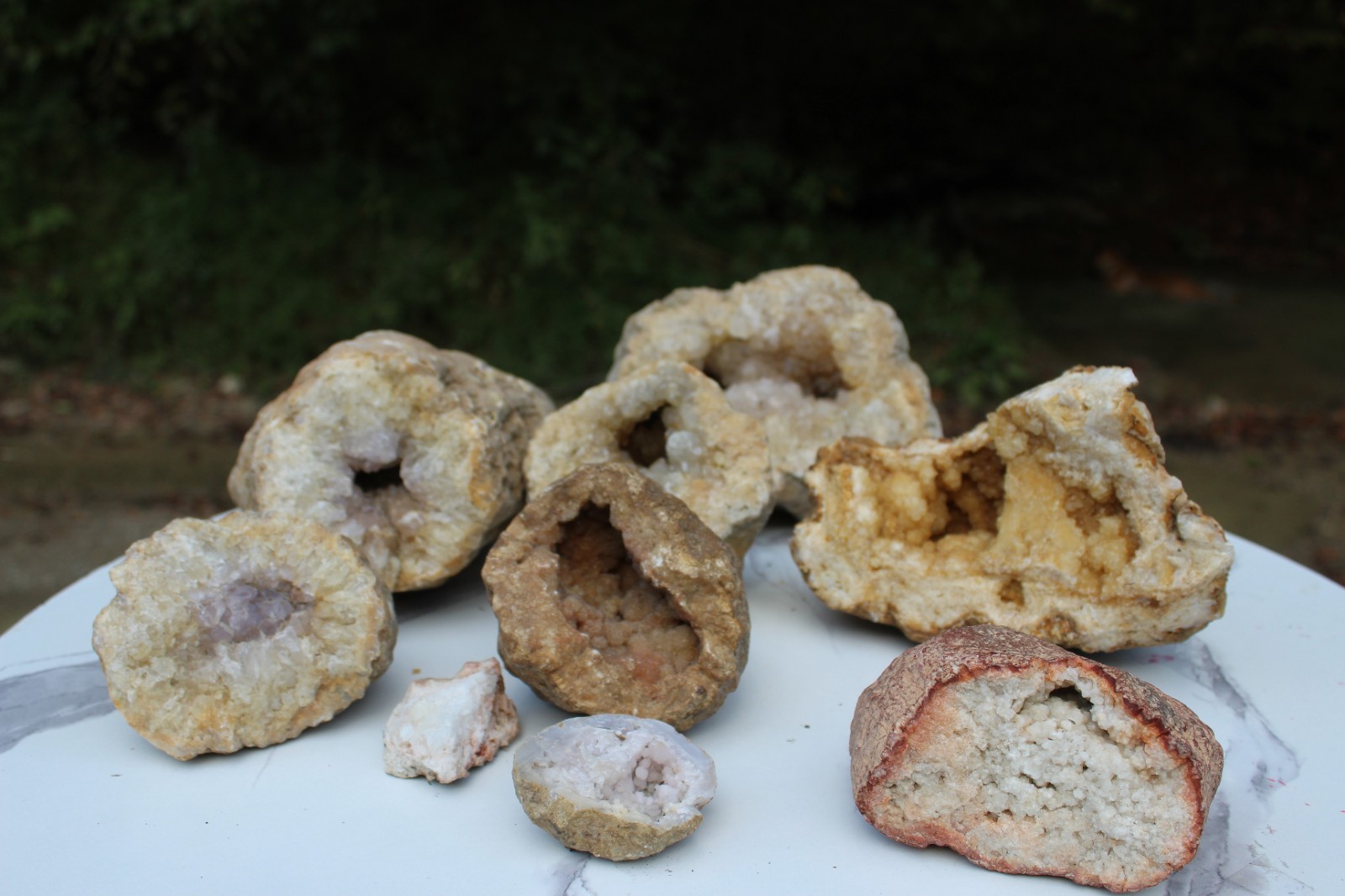 Large Kentucky Geode 3–5 inch – Crack Open Giant Quartz Crystal Rock – Authentic