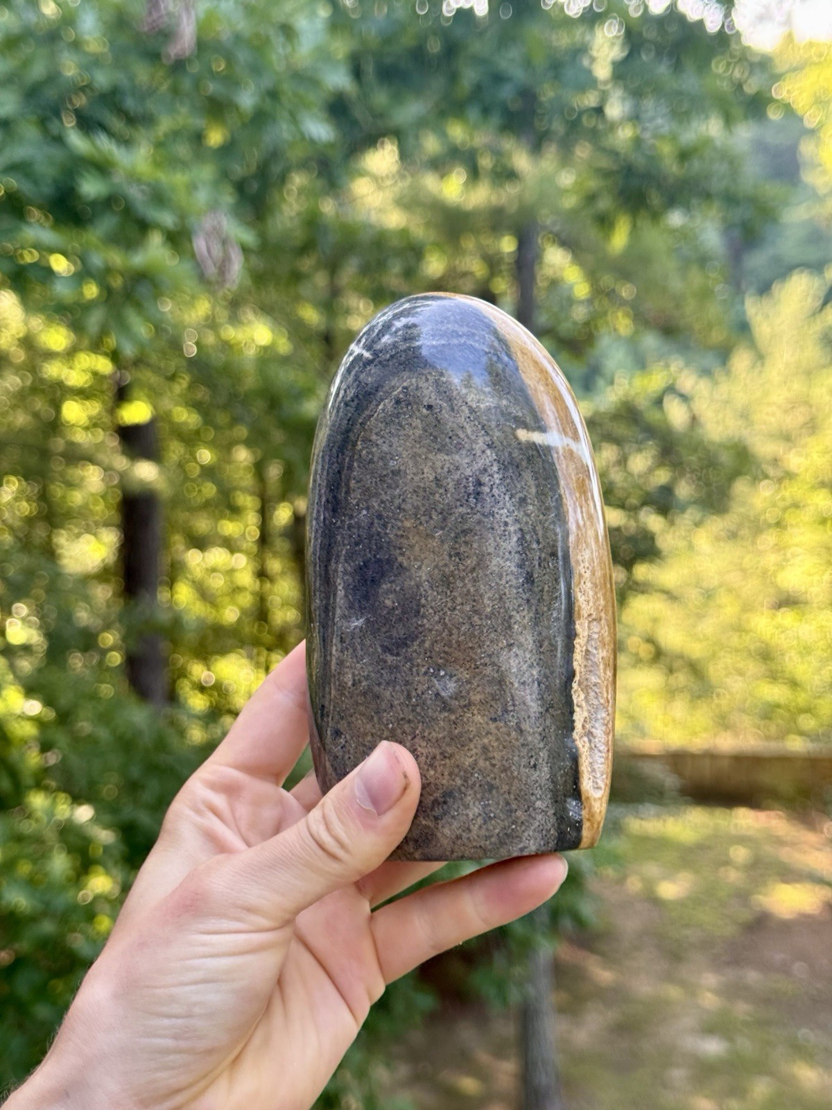 Large Polychrome Jasper Freeform 740g Polished Desert Jasper Display Stone