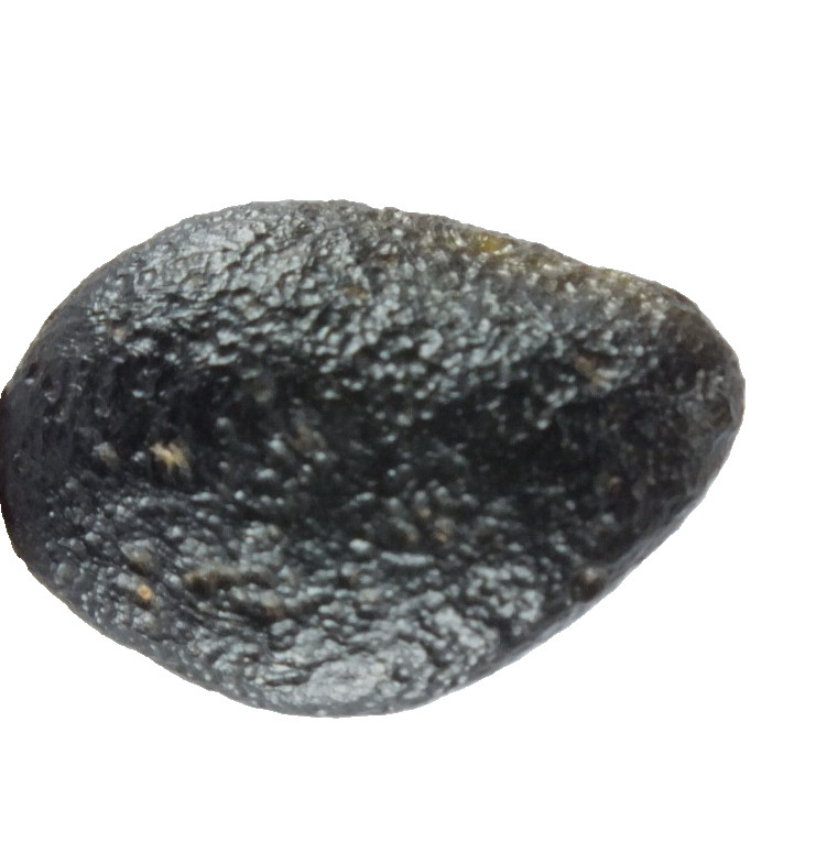 Australite Tektite, Sandpit nr Port Campbell. Victoria Australia (EA10445) Boxed