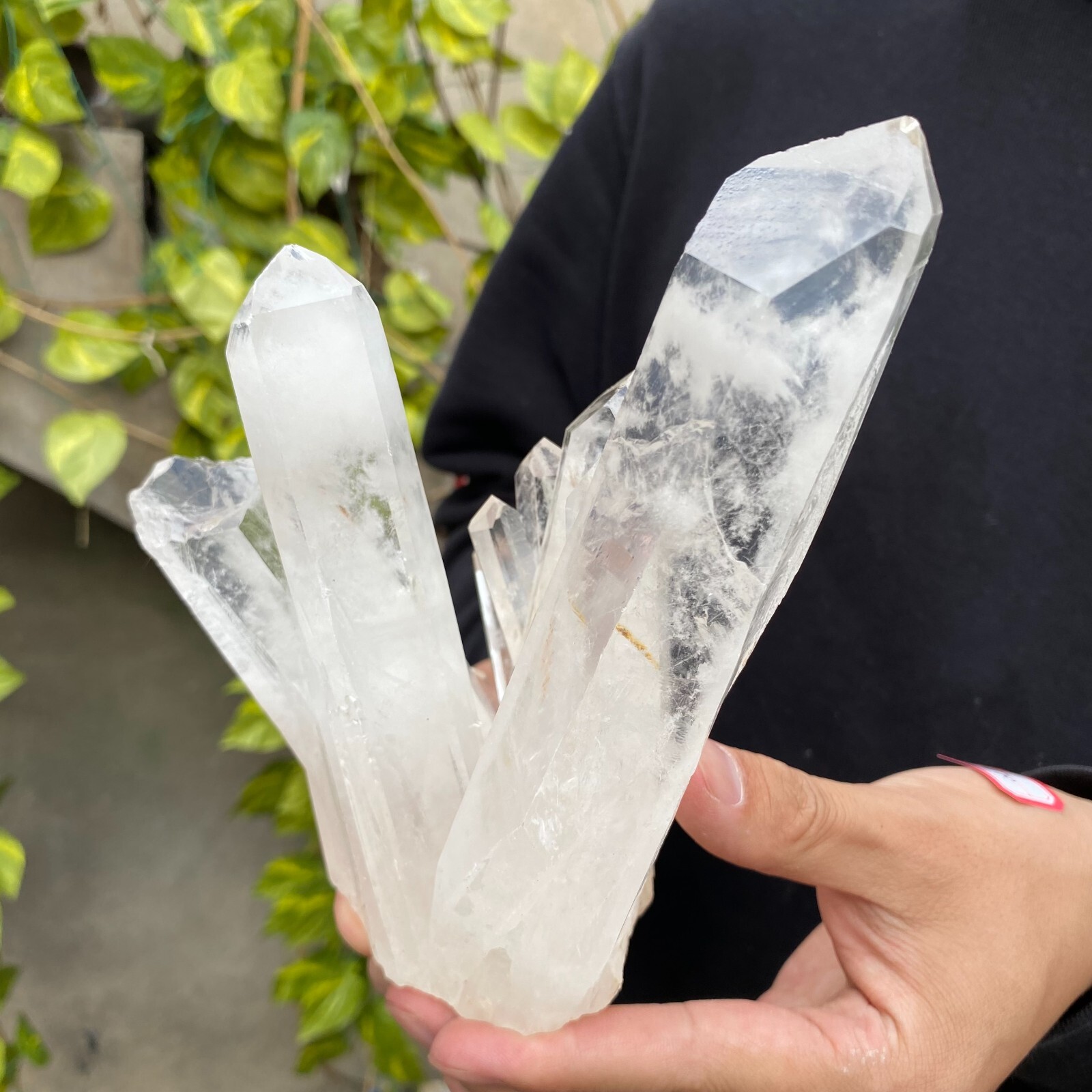2.3lb Natural Clear White quart Crystal Cluster Raw Healing Specimen