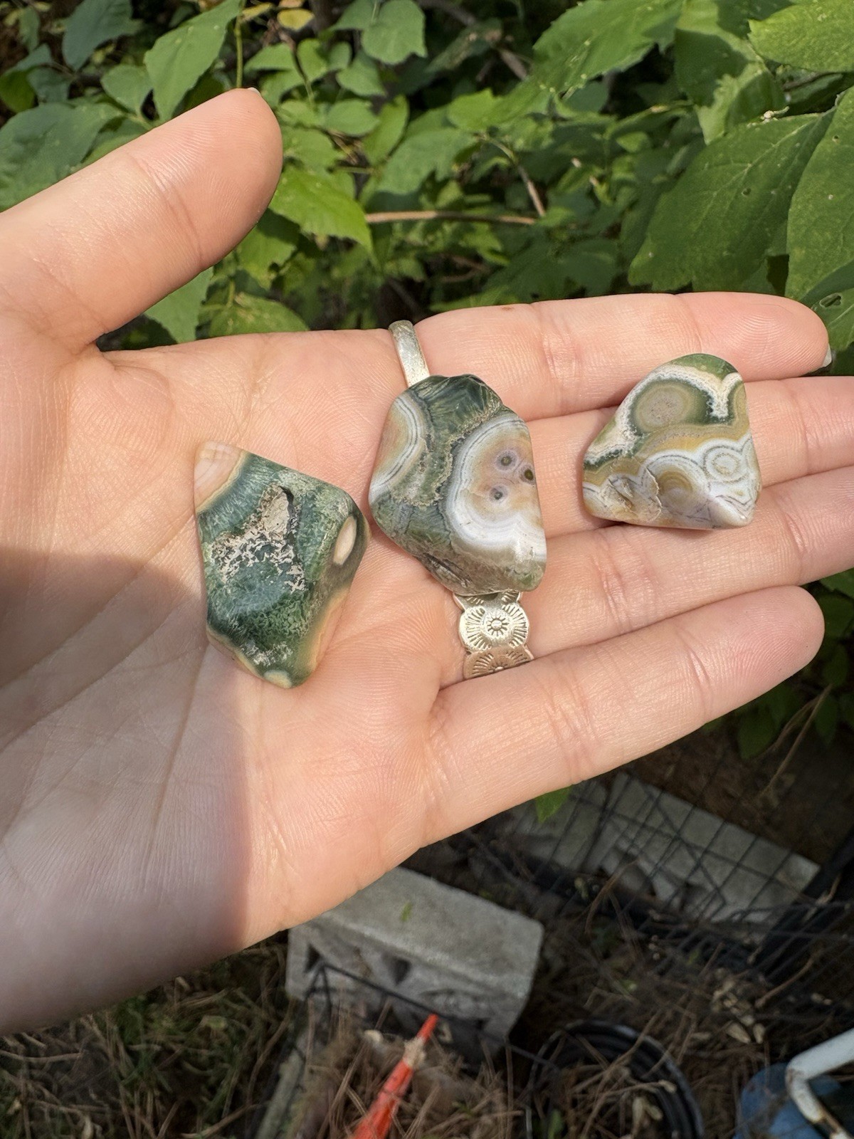 Orbicular Ocean Jasper Set