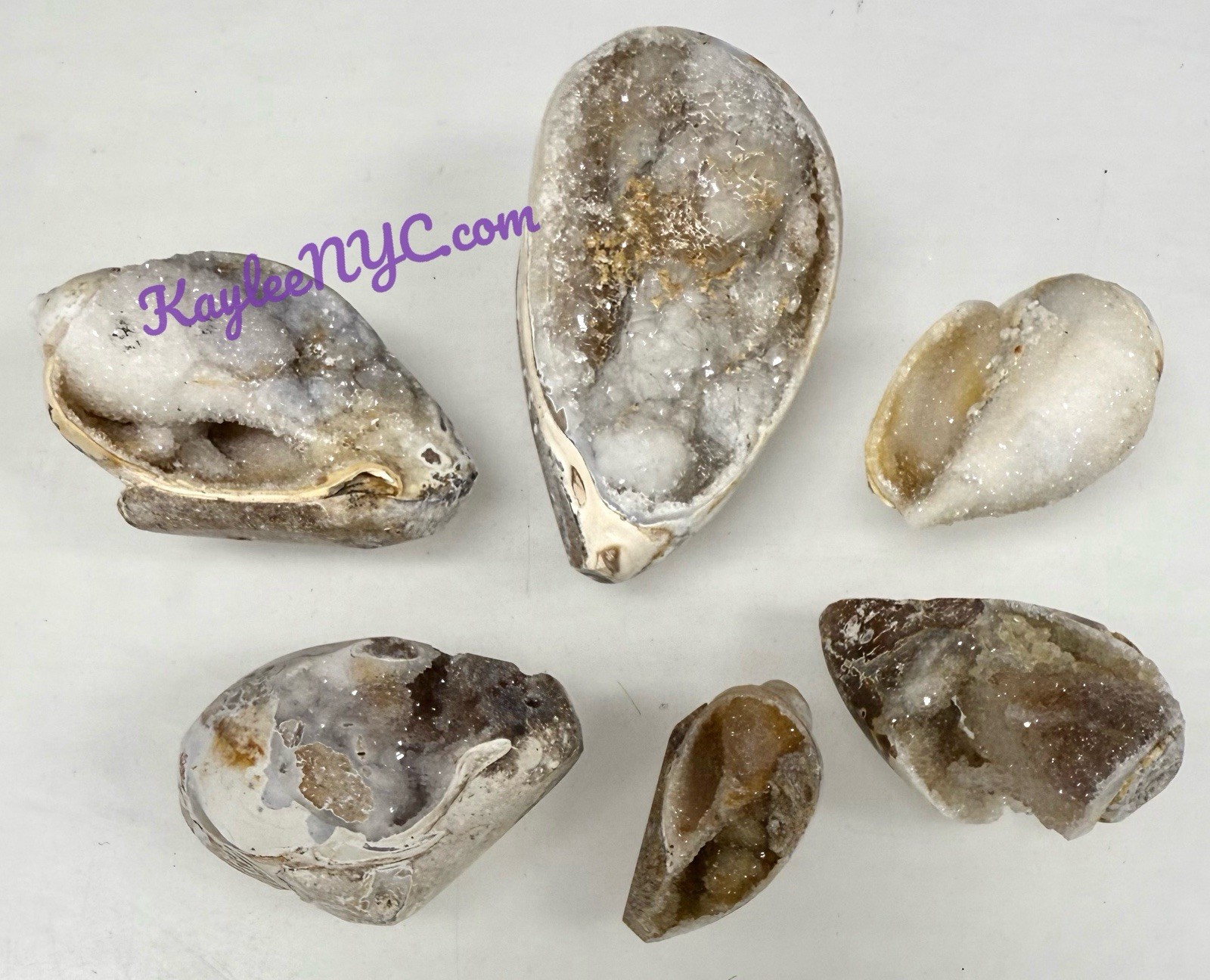 Wholesale Lot 6 PCs Natural Spiralite Fossil Sea Shell Crystals Healing Energy