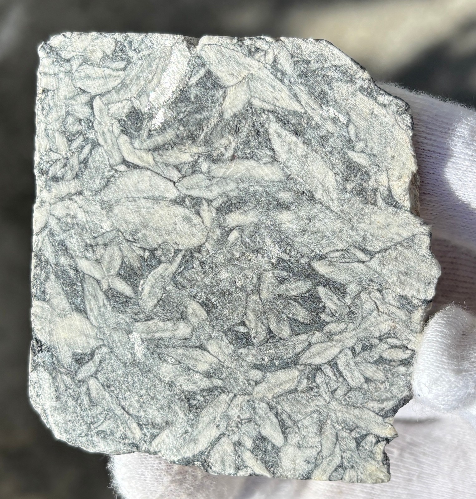 1lb+ LOT PINOLITH JASPER ROUGH LARGE SPECIMENS SPECIMEN 1 POUND LARGE CHUNKS