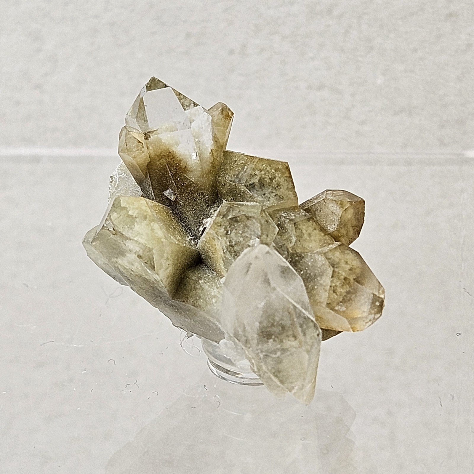 Natural Green Chlorite Included Quartz Cluster Specimen Garden Quartz U.S Seller