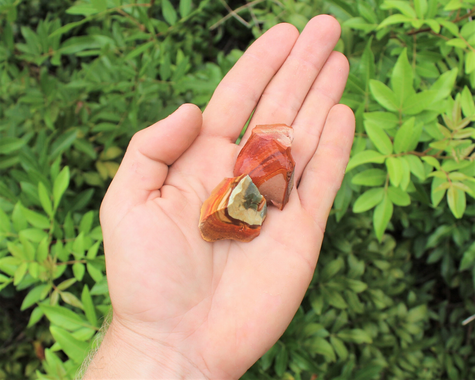 Polychrome Jasper Rough Natural Bulk Lots (Raw Polychrome Jasper, Desert Jasper)