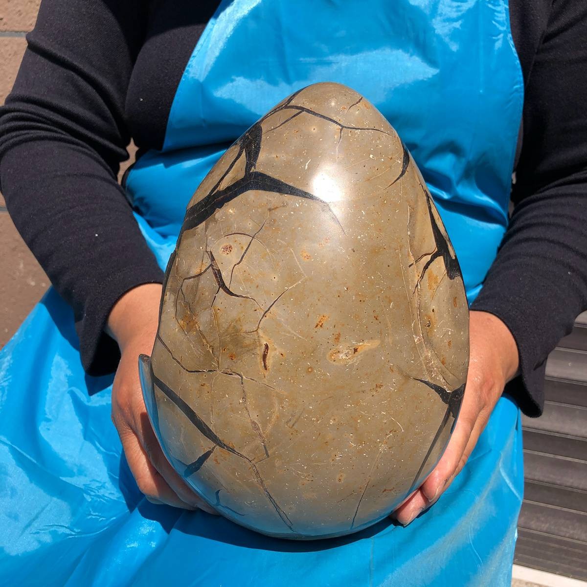 7550G Natural Turtle Back Stone Dragon Crystal Cave Crack Gem Healing 4345