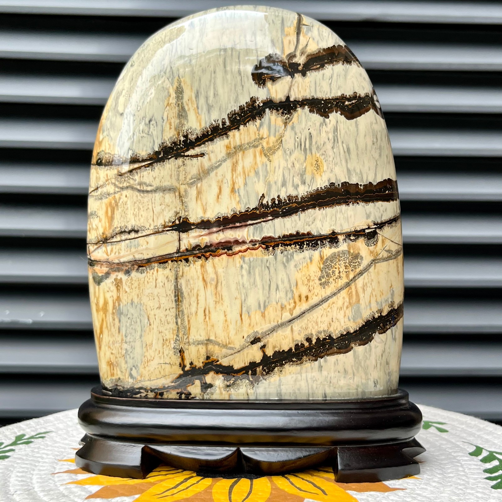 5.3 lb Landscape Stone Polished Arc Mineral Specimen Collectible Display Art