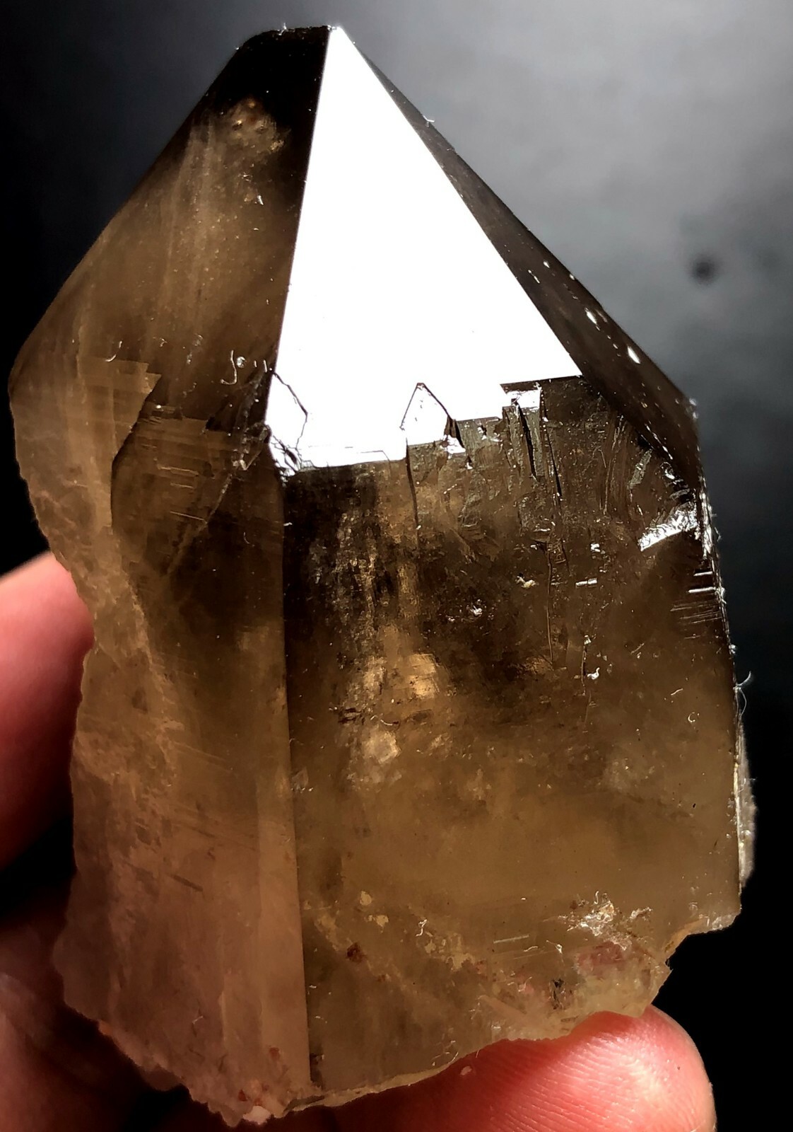 146g 1PC Brand new Rare Black SMOKY QUARTZ Crystal Point&Garnet Spessartine W464