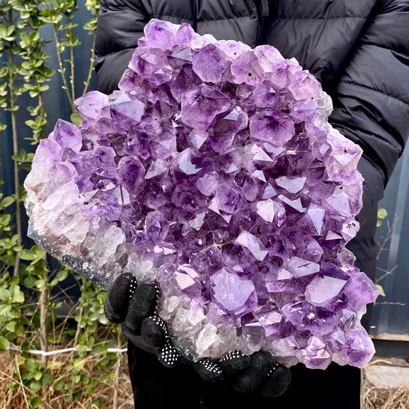 22LB Natural Amethyst geode quartz cluster crystal specimen Healing