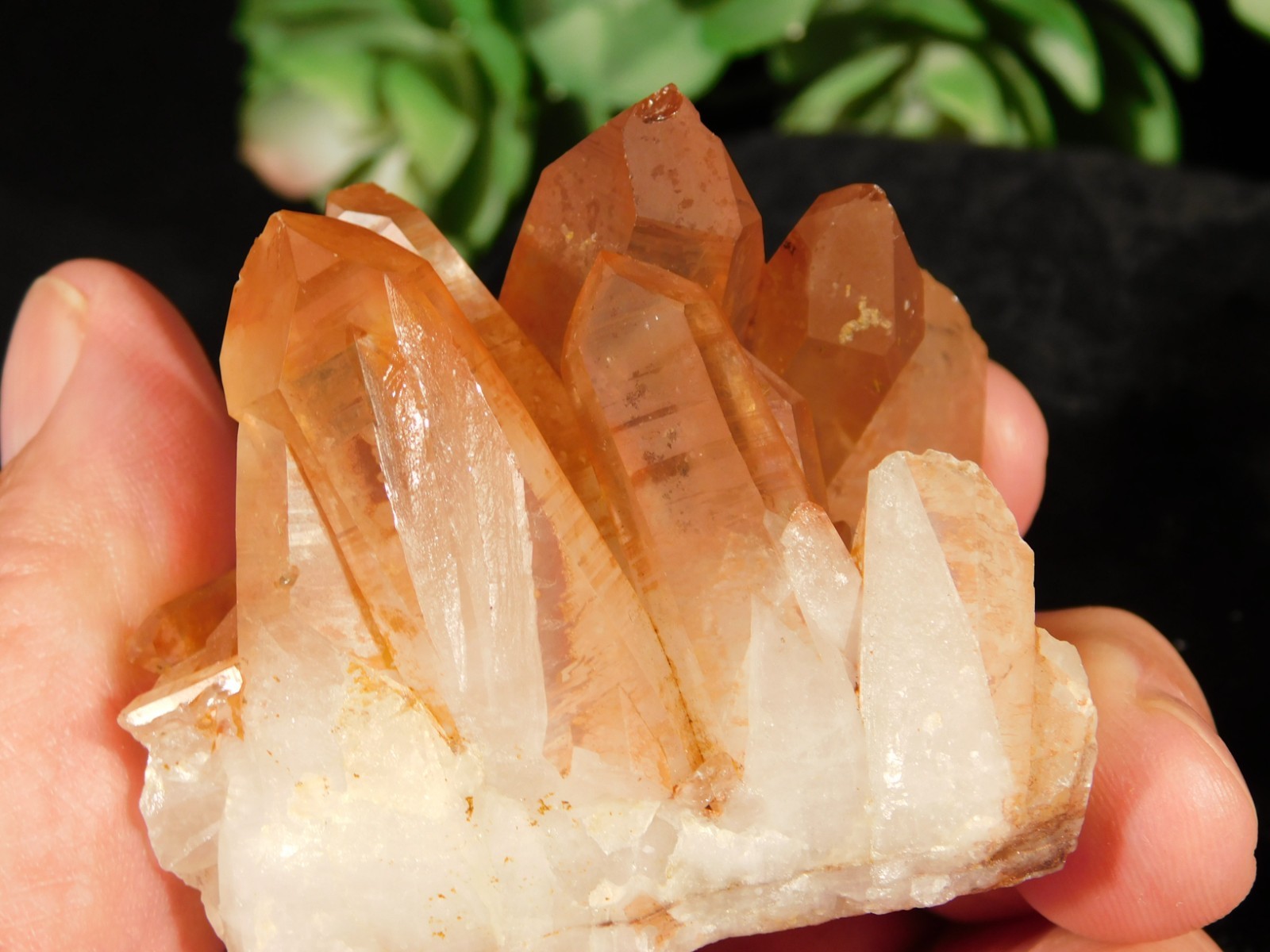 GOLDEN Healer Quartz Crystal Cluster 100% Natural Brazil 149gr